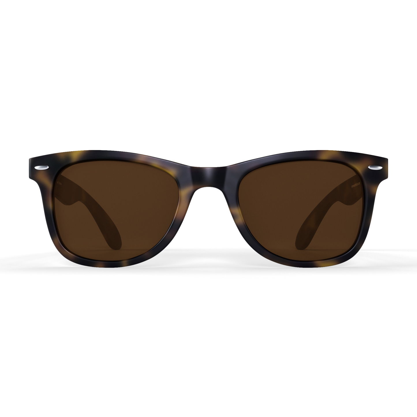 [Luxe]Tortoise Sprinters